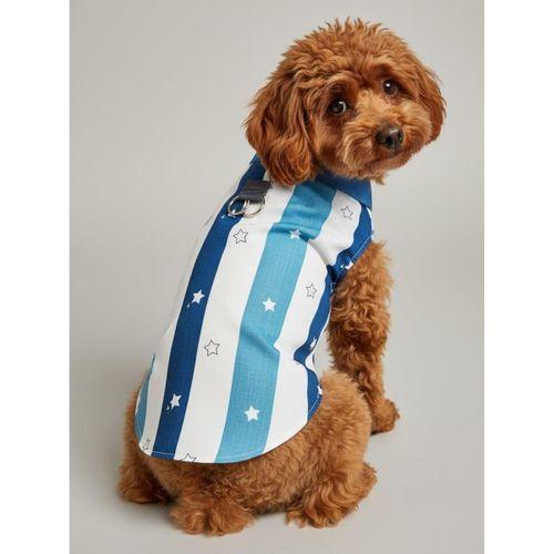 Star Sky Rain Küçük Köpek Yağmurluk Ceket