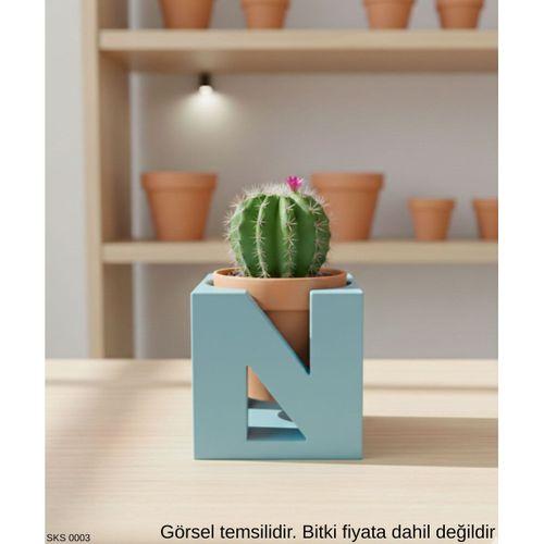 Mavi Harf Seklinde Mini Dekoratif Saksi Kisiye Ozel Bas Harf Tasarim Masa Ustu Ofis Dekoru
