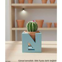 Mavi Harf Seklinde Mini Dekoratif Saksi Kisiye Ozel Bas Harf Tasarim Masa Ustu Ofis Dekoru