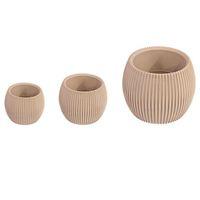 Sağlam Plastik Kaktüs Saksı 3lü Set Çölbeji