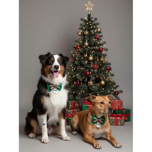 Kardan Adam Köpek Papyon Tasması | Yeşil Kırmızı Fiyonk Boyun Aksesuarı | Noel Temalı Köpek Süsü | Orta ve Büyük Irklar İçin
