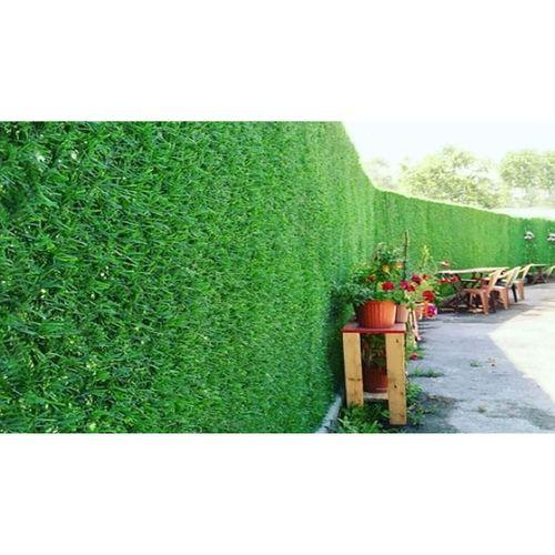 Çim Çit 50 CM x 5 Metre Çim Çit Örgü Telli Bahçe Çiti Fiyatı Çim Çit 50 CM x 5 Metre Çim Çit Örgü Telli Bahçe Çiti Fiyatı